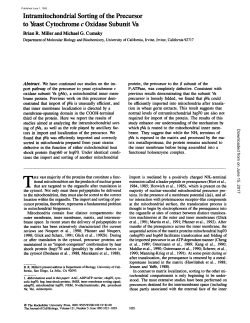 Intramitochondrial Sorting of the Precursor to Yeast Cytochrome c