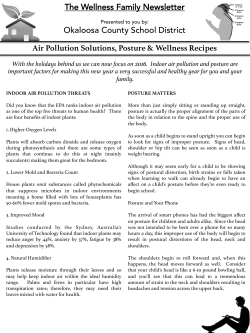 Air Pollution Solutions, Posture and Wellness Recipes