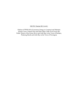 Revisions - New Hampshire Public Utilities Commission