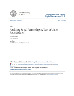 Analysing Social Partnership: A Tool of Union Revitalization?