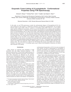 Enzymatic Cross-Linking of &beta;-Lactoglobulin