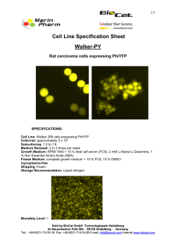 Cell Line Specification Sheet Walker-PY