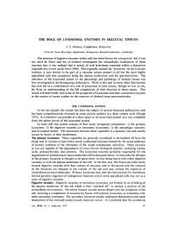 ROLE OF LYSOSOMAL ENZYMES IN SKELETAL TISSUES
