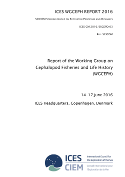 Report of the Working Group on Cephalopod Fisheries and