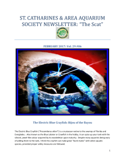 February 2017 - St. Catharines and Area Aquarium Society