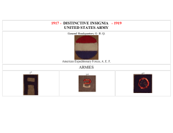 AEF Distinctive Insignia 1917