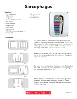 Sarcophagus - Scholastic