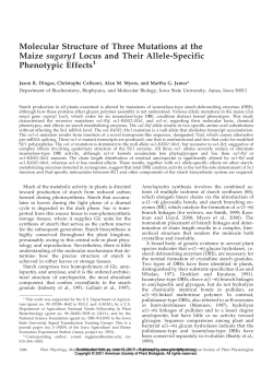 Molecular Structure of Three Mutations at the Maize