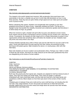 Internet Research Cheetahs