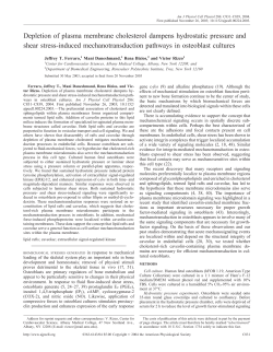 Depletion of plasma membrane cholesterol dampens hydrostatic