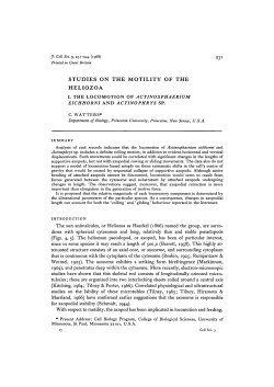 studies on the motility of the heliozoa