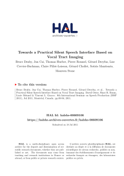 Towards a Practical Silent Speech Interface Based on - Hal-SHS