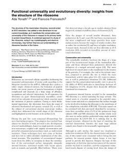 Functional universality and evolutionary diversity