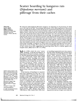 Scatter hoarding by kangaroo rats pilferage from their