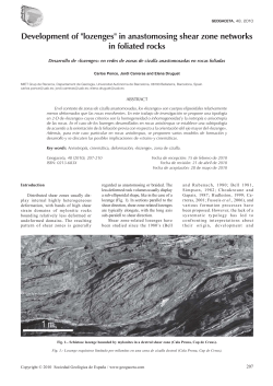Development of lozenges in anastomosing shear zone networks in