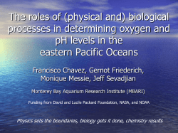 The roles of (physical and) biological processes in determining
