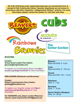 All of the following youth organisations/groups are represented here