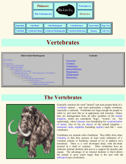 Palaeos Vertebrates : Vertebrates : Overview