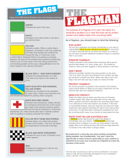 Understanding The Flag System