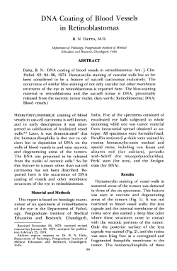 DNAC oatingof B lood V esselsin R etinoblastomas Department of