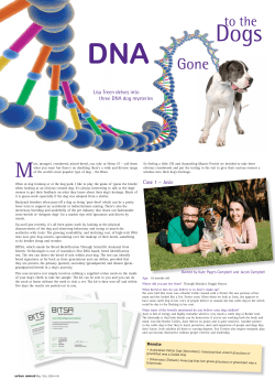 Lisa Treen delves into three DNA dog mysteries Case 1 &ndash; Josie