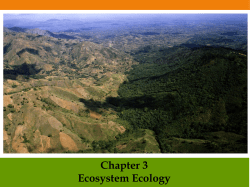 Chapter 3 Ecosystem Ecology