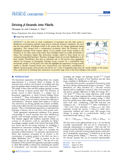 Driving &beta;-Strands into Fibrils
