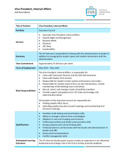 VP Internal Job Description