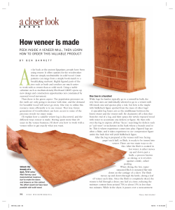 a closer look - Berkshire Veneer