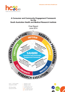 A Consumer and Community Engagement Framework for the South