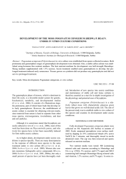 development of the moss pogonatum urnigerum