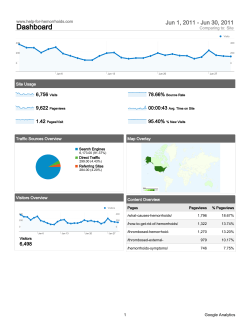 Google Analytics PDF