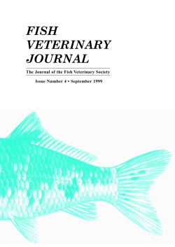 fish veterinary journal - Fish Veterinary Society