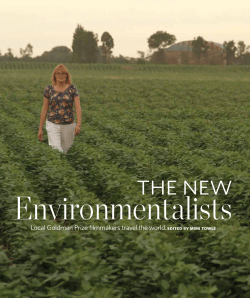 the New - Mill Valley Film Group