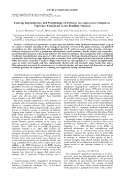 Feeding, Reproduction, and Morphology of Bothrops mattogrossensis