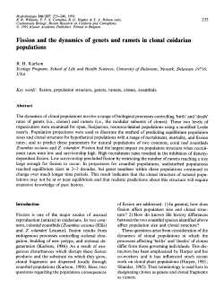 Fission and the dynamics of genets and ramets in clonal cnidarian