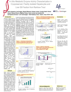 In Vitro Metabolic Enzyme Activity Characterization in