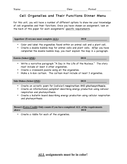Cell Organelle and Function Dinner Menu