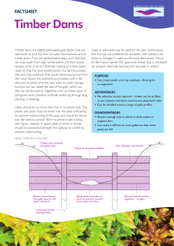 Timber Dams - Moors for the Future