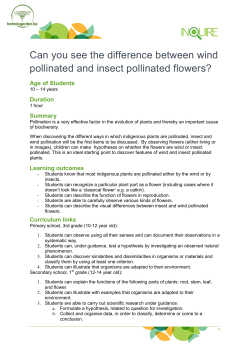 Can you see the difference between wind pollinated and