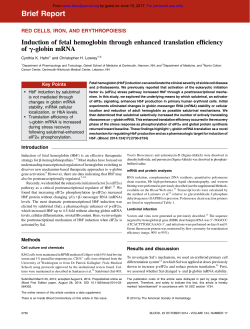 Induction of fetal hemoglobin through enhanced translation