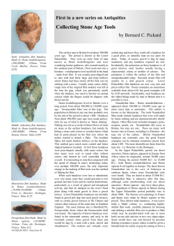 Collecting Stone Age Tools
