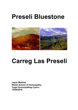 Preseli Bluestone - Welsh School of Homeopathy