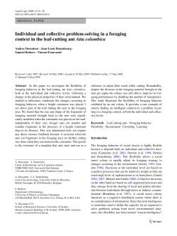Individual and collective problem-solving in a foraging context