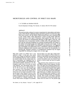 Microtubules and control of insect egg shape.