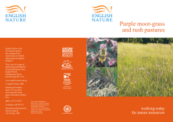 Purple moor-grass and rush pastures