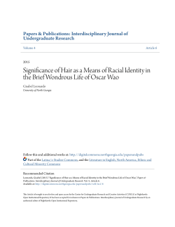 Significance of Hair as a Means of Racial Identity in the Brief