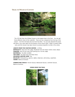 trail to wildcat canyon - Starved Rock State Park