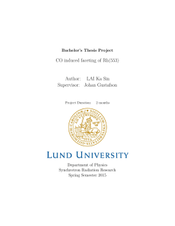 CO induced faceting of Rh(553) Author: LAI Ka Sin Supervisor