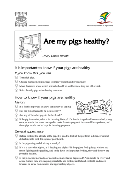Are my pigs healthy